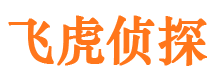 新兴市调查公司